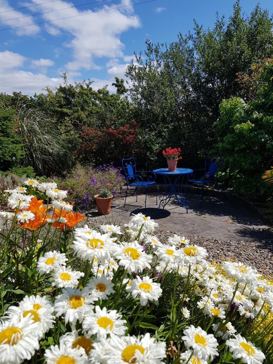 Apartments At Ballinsheen House & Gardens Lisdoonvarna Eksteriør billede